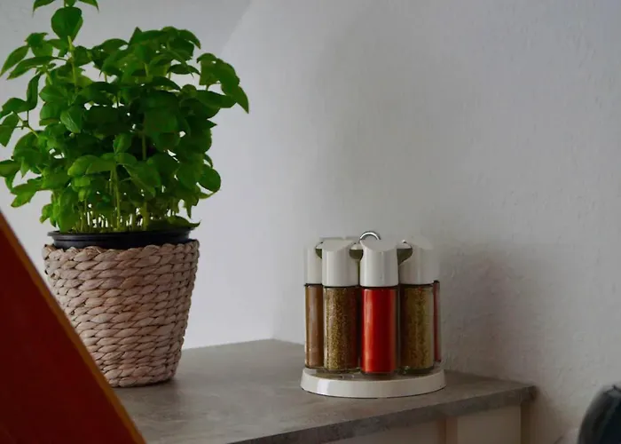 Wohlfuehlen In Der Bauhausstadt *